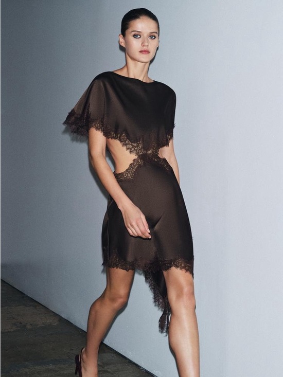 Zara Dresses & Skirts - CUT-OUT LACE DRESS ZW COLLECTION